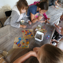 img-5130 img-5130